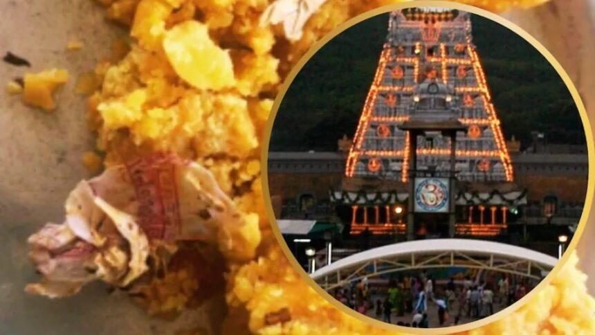 Tirupati Laddu Tobacco Video Controversy: Claims of animal fat and tobacco being found in Tirupati Laddu, video goes viral