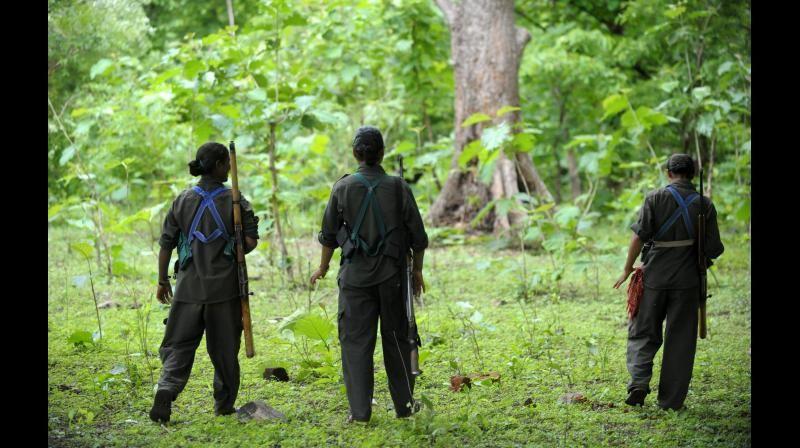 Chhattisgarh: After 21 years, tribals plan to return to native place in Naxal-hit Abujhmad