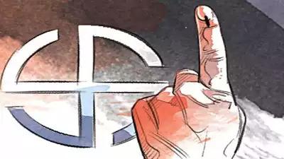 The process of candidate selection for urban body elections in Chhattisgarh is in full swing, dates are expected to be announced on December 20,2024