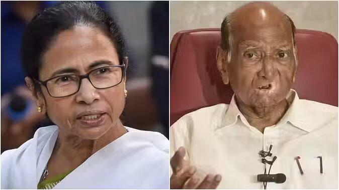 Sharad Pawar supports Mamta Banerjee, says she has the ability to lead the India alliance
