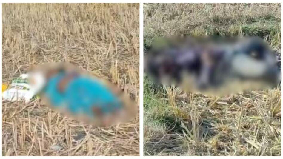 Now the entire family of a journalist murdered in Chhattisgarh, parents and brother chopped with an axe in land dispute