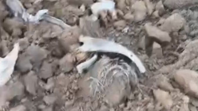 Alert in Punjab-Chandigarh: Schools and colleges closed, missile pieces found in a village in Bathinda; Internet shut down in Faridkot