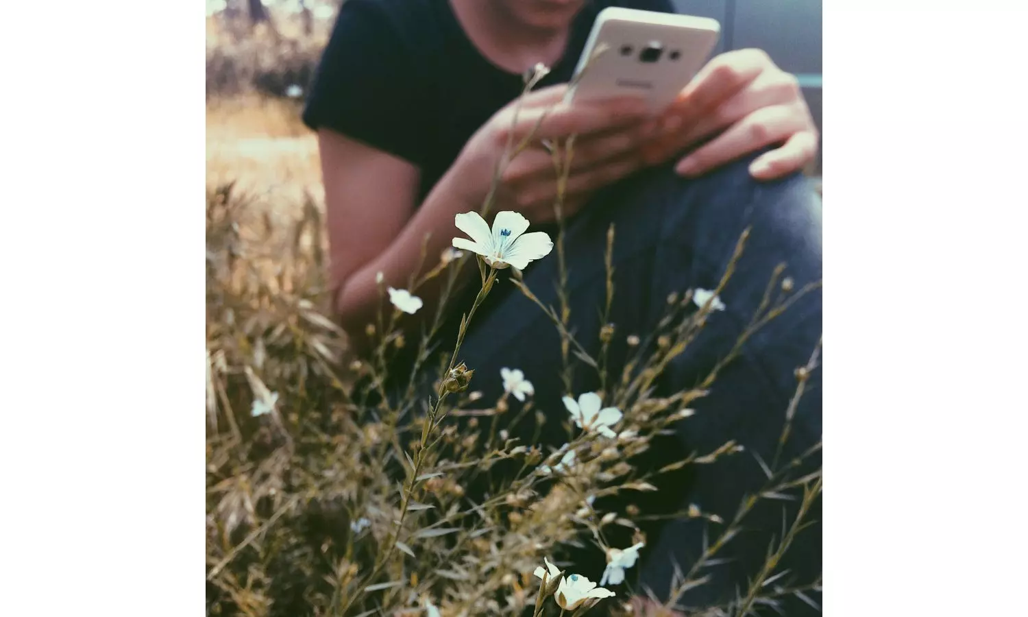 What Reels May Come (before I fall asleep…)-By-Ranjona Banerjee