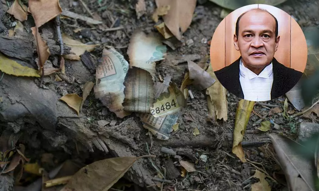 Cash Discovery Row: Justice Yashwant Varma Moves SC Against Inquiry Report