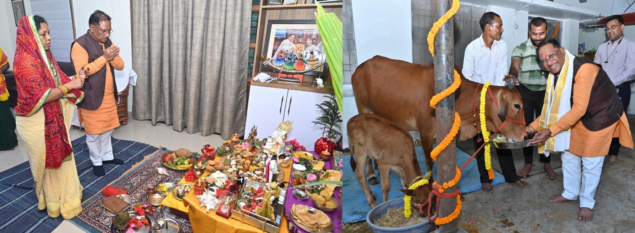 CM Sai worships cows on the occasion of Govardhan Puja, wishes happiness and prosperity for the people of the state-Video