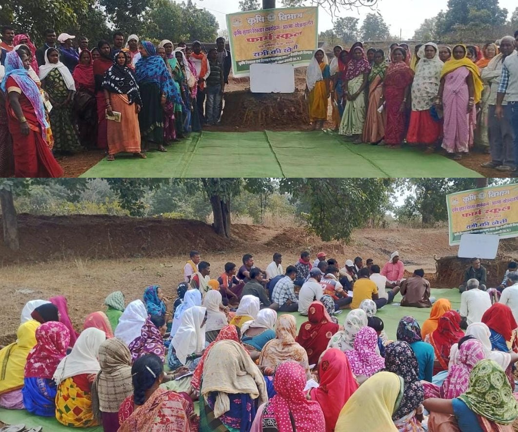 Rabi Cultivation Returns to Dhamtari’s Tribal Region After 50 Years