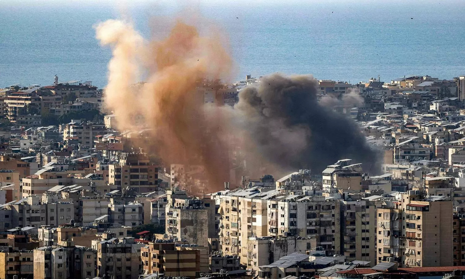 Who Will Call Off This Senseless War?