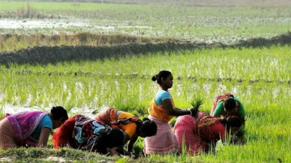 Centre Raises MSP for 14 Kharif Crops