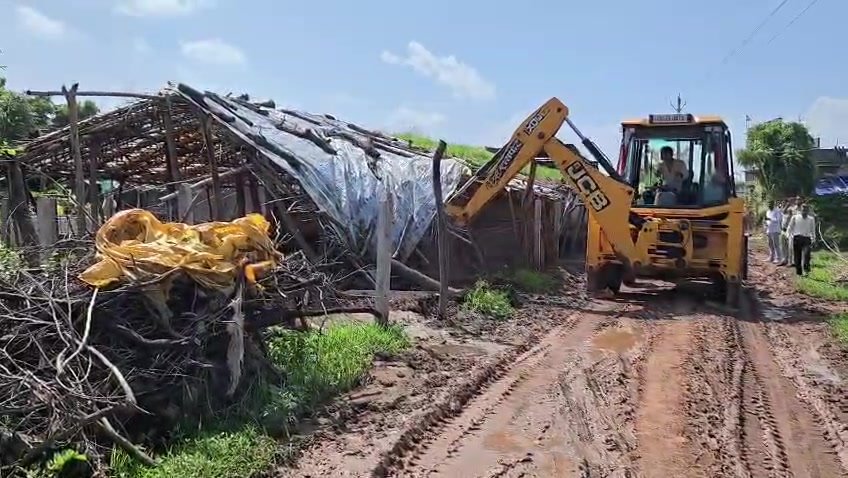 Hemaband Animal Cruelty Case: Father-Son Arrested, 126 Cattle Rescued