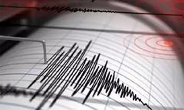 More Than 20 Injured as Moderate Earthquake Shakes Japan
