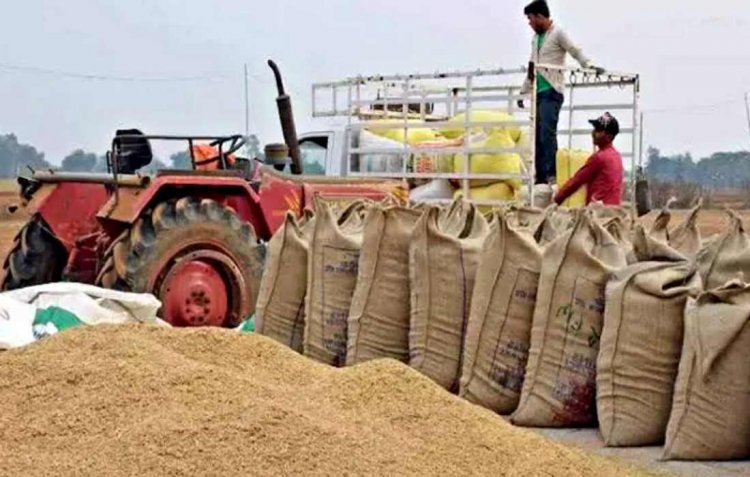 Chhattisgarh Approves 360 New Paddy Procurement Centres; Online Tokens from November 10